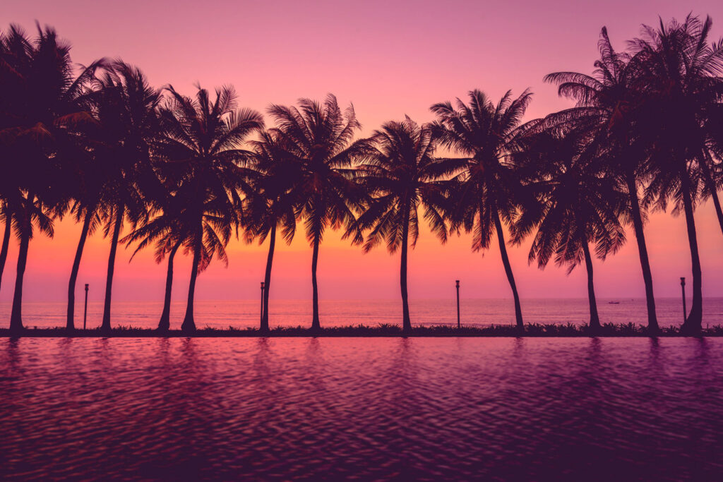 Sunset-with-silhouette-Palm-trees-Pastel-Style