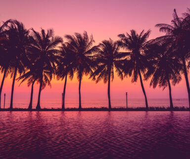 Sunset-with-silhouette-Palm-trees-Pastel-Style