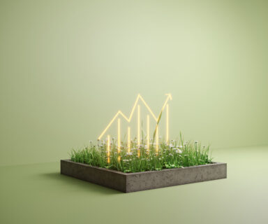 Sustainable-growth-graph